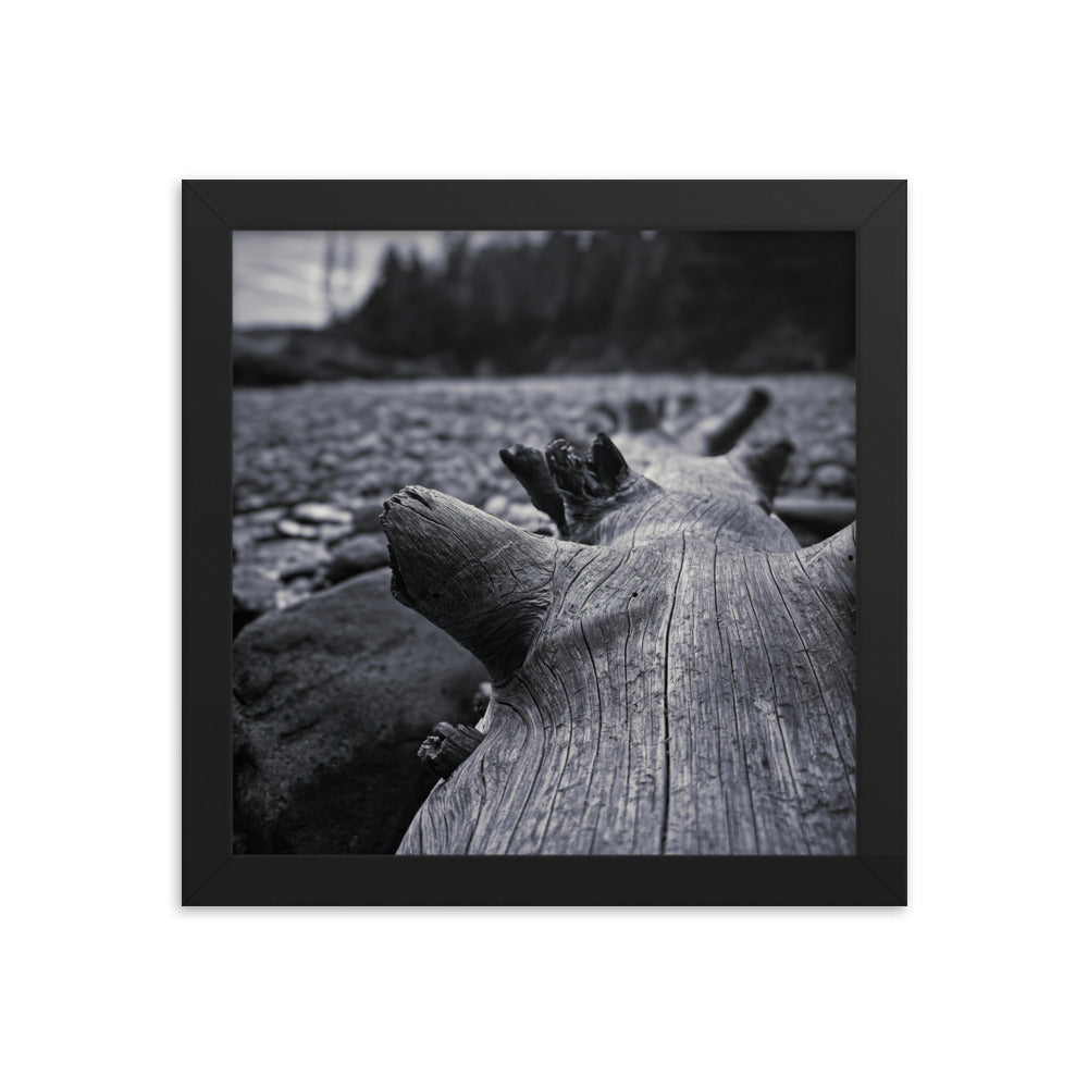 Framed Poster - The Beached Log