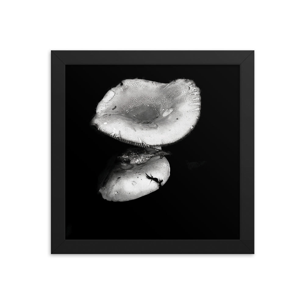 Framed Poster - Reflecting Mushroom