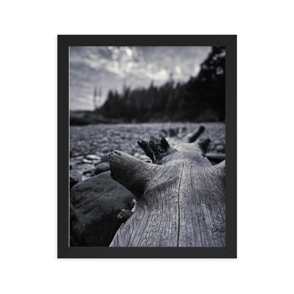 Framed Poster - The Beached Log