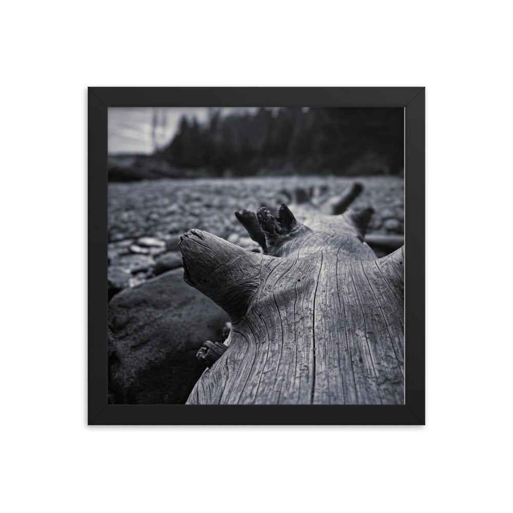 Framed Poster - The Beached Log