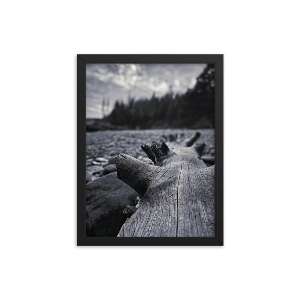 Framed Poster - The Beached Log