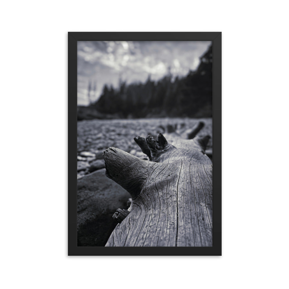 Framed Poster - The Beached Log