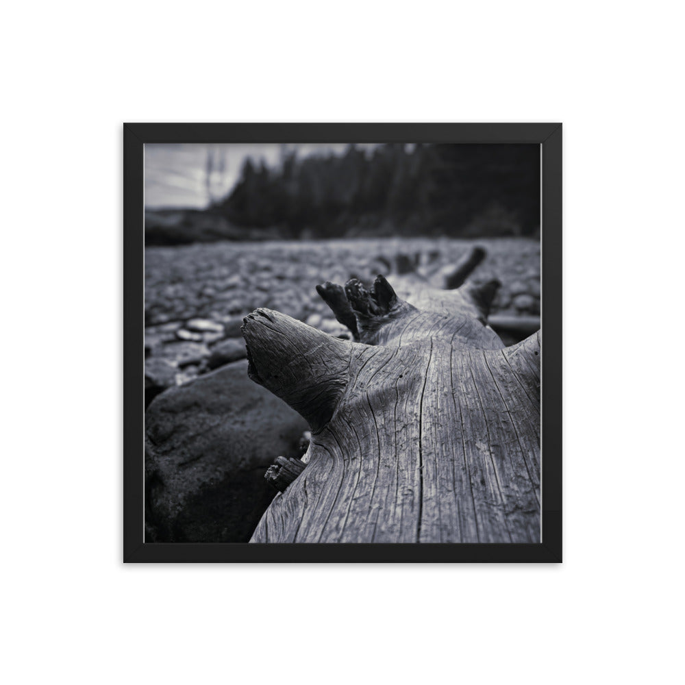 Framed Poster - The Beached Log