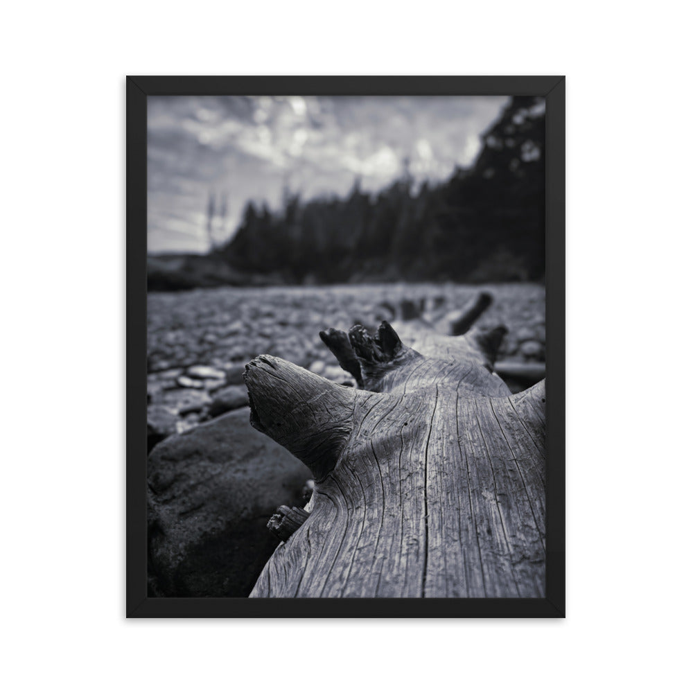 Framed Poster - The Beached Log