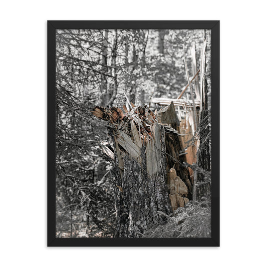 Framed Poster - The Splintered Tree