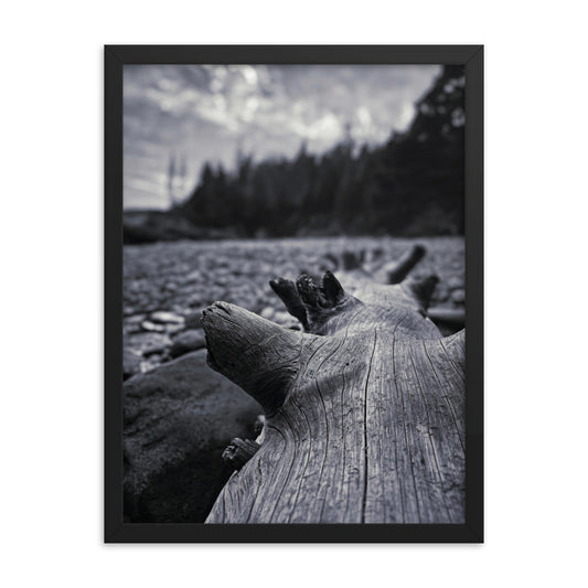 Framed Poster - The Beached Log