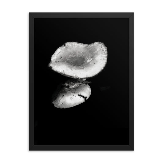 Framed Poster - Reflecting Mushroom