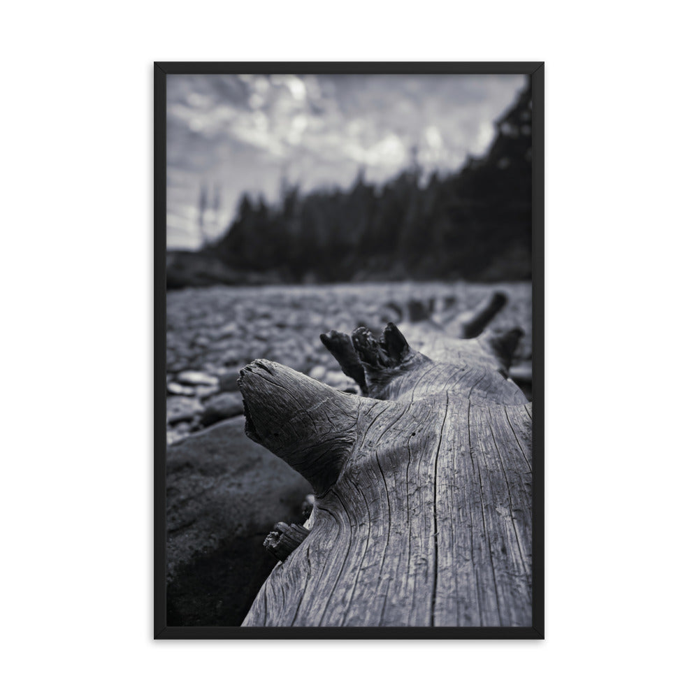 Framed Poster - The Beached Log