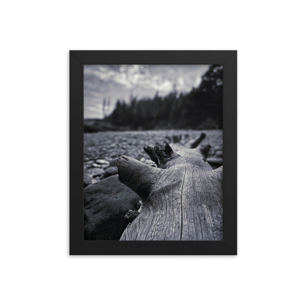 Framed Poster - The Beached Log