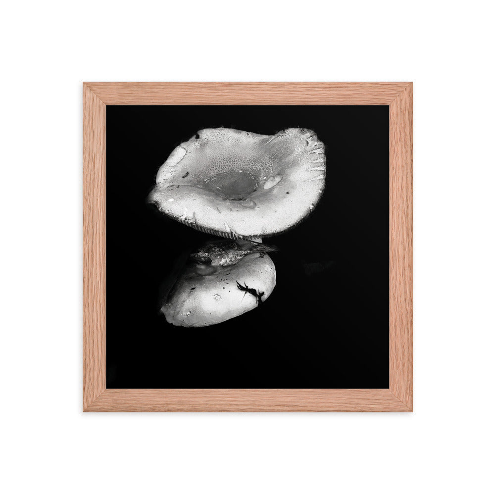 Framed Poster - Reflecting Mushroom