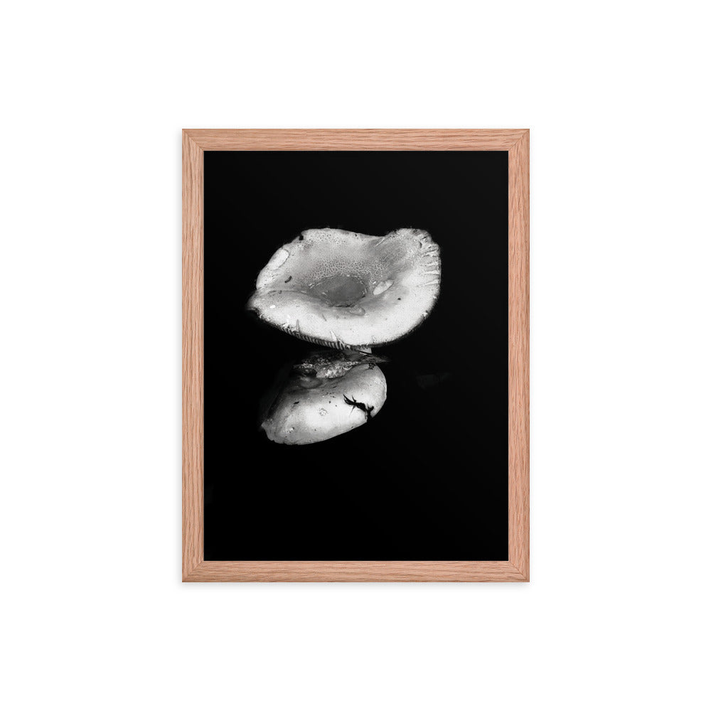 Framed Poster - Reflecting Mushroom