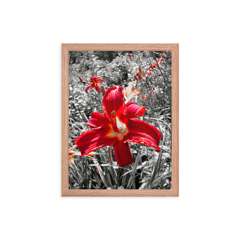 Framed Poster - The Bloom