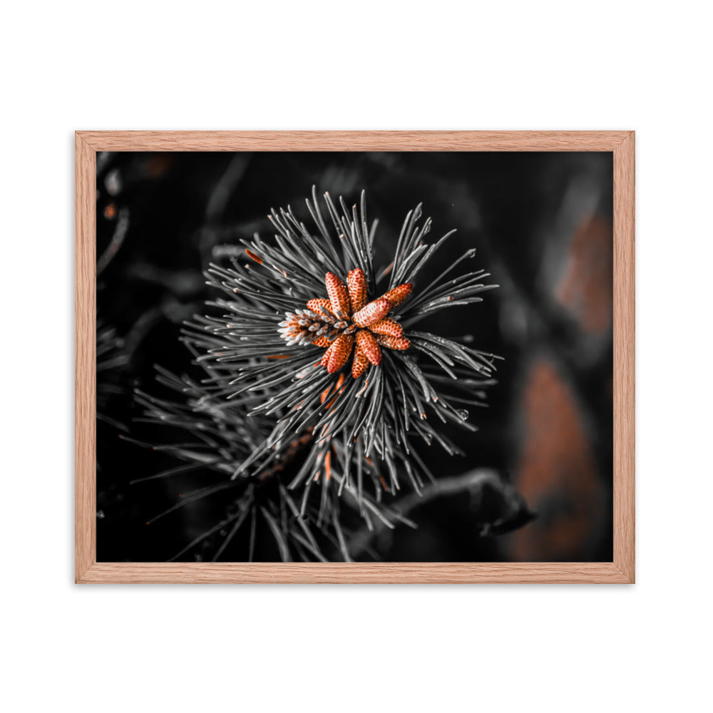 Framed Poster - Rusted Pine