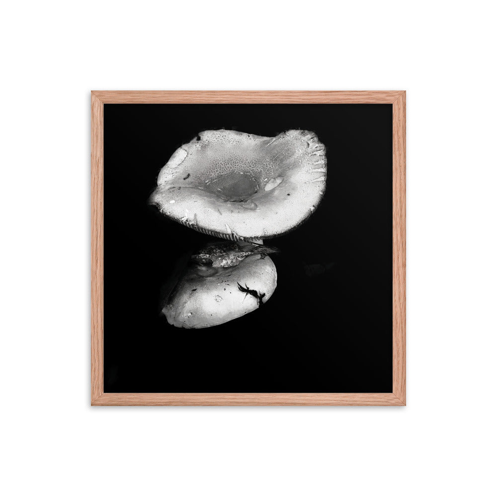 Framed Poster - Reflecting Mushroom