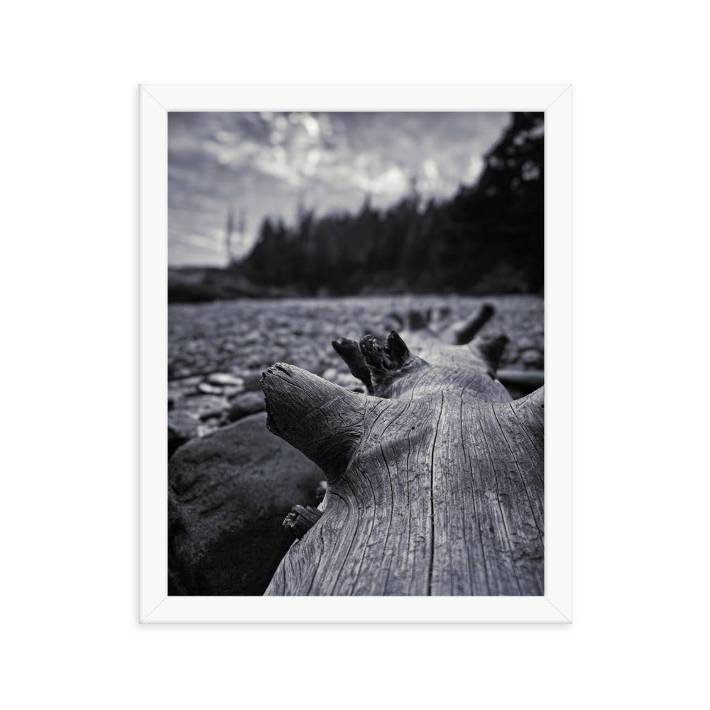 Framed Poster - The Beached Log