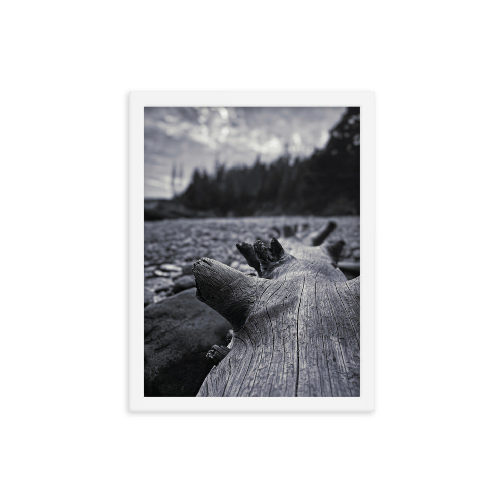 Framed Poster - The Beached Log