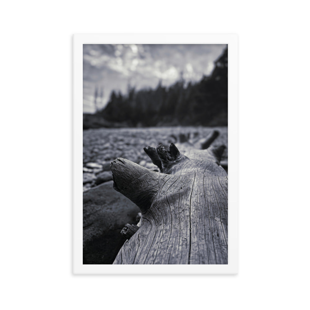 Framed Poster - The Beached Log