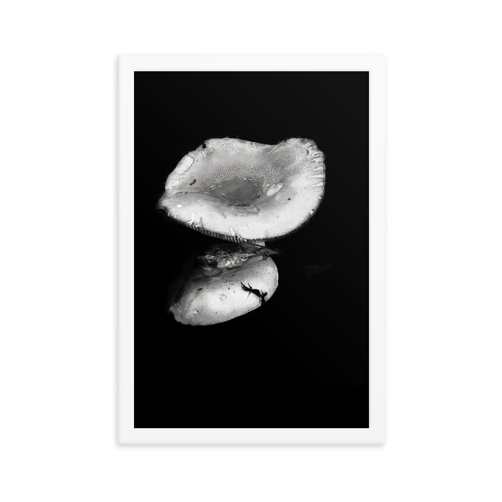 Framed Poster - Reflecting Mushroom