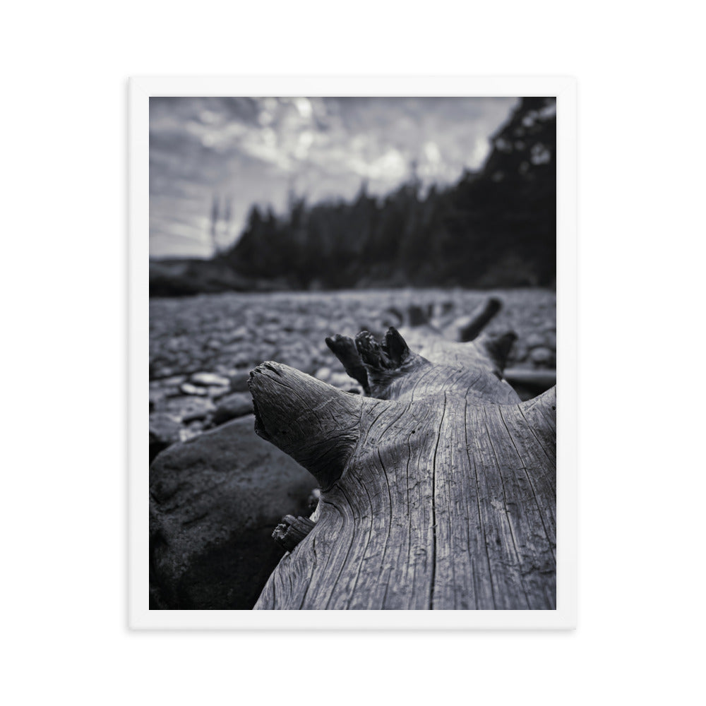 Framed Poster - The Beached Log