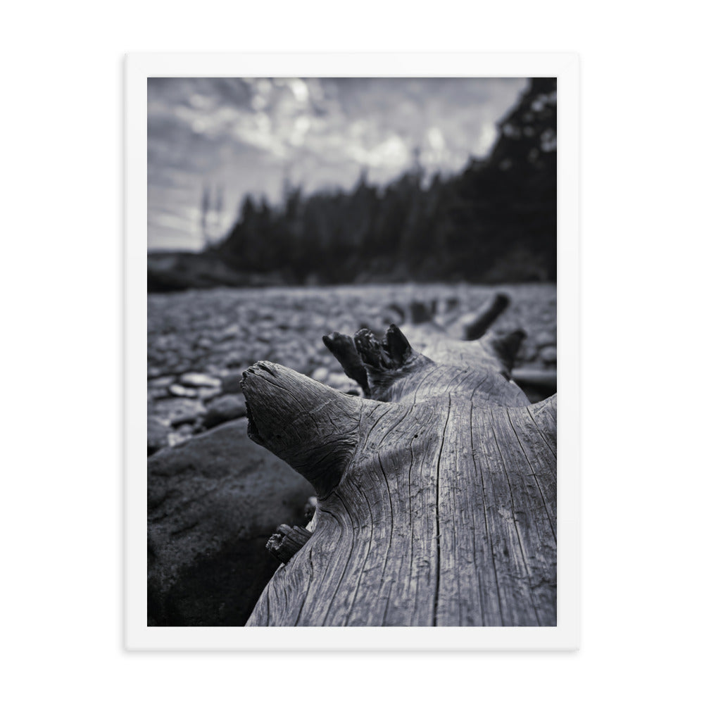 Framed Poster - The Beached Log