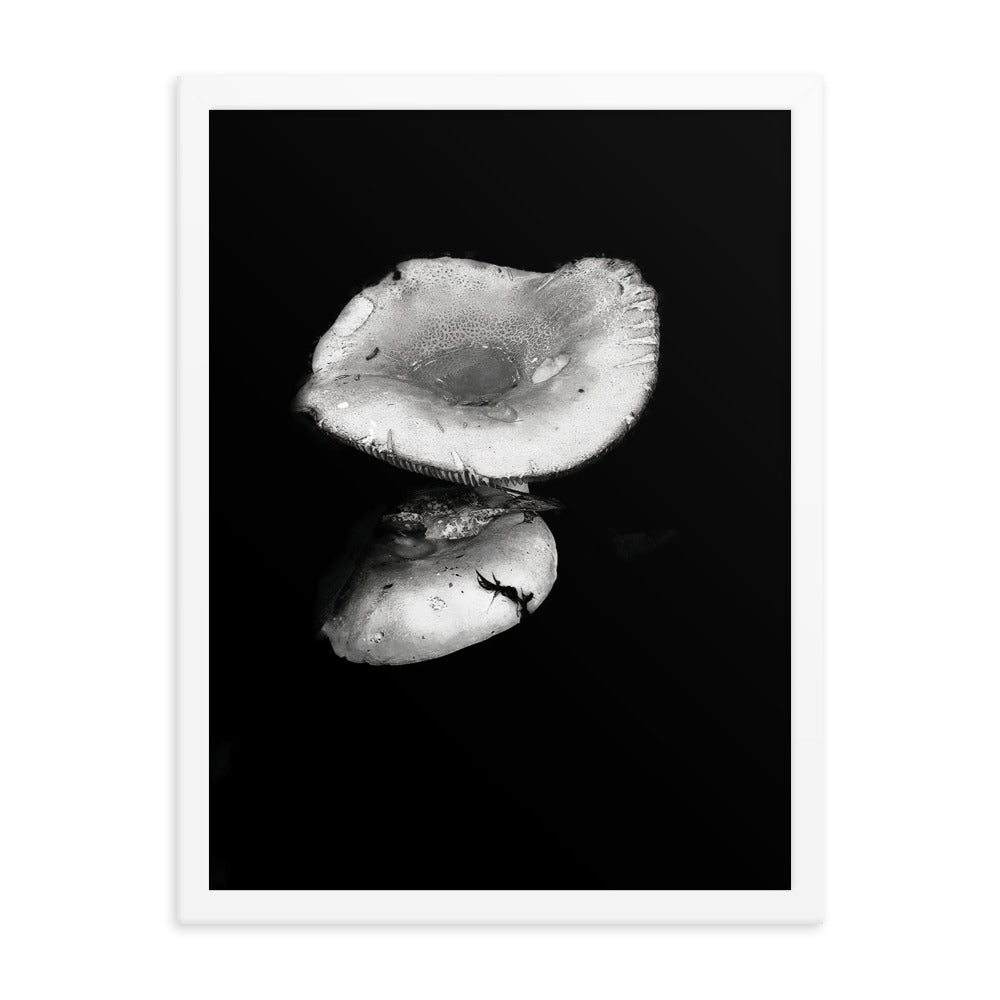 Framed Poster - Reflecting Mushroom