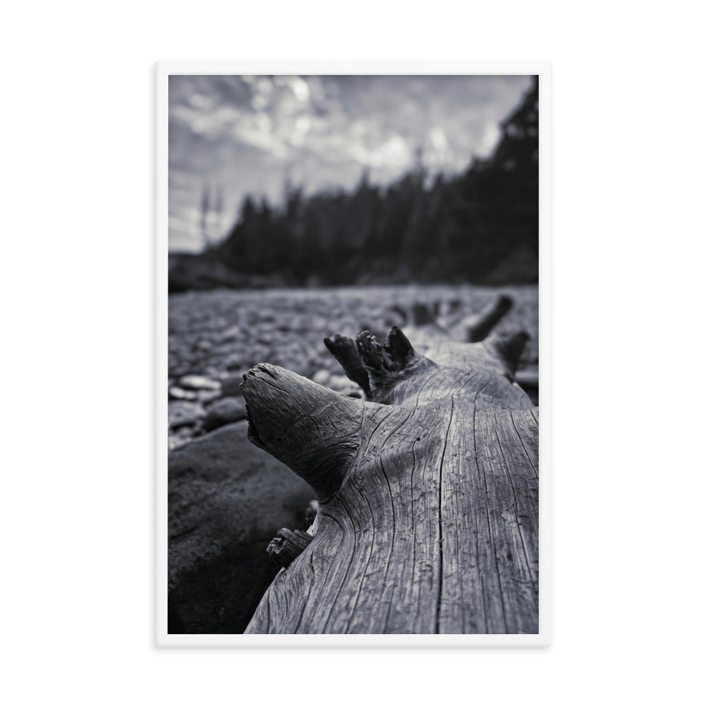 Framed Poster - The Beached Log