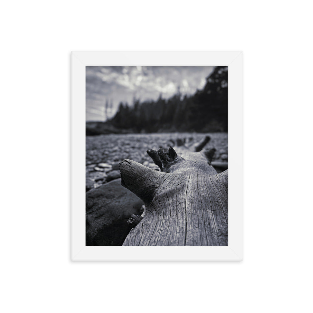 Framed Poster - The Beached Log