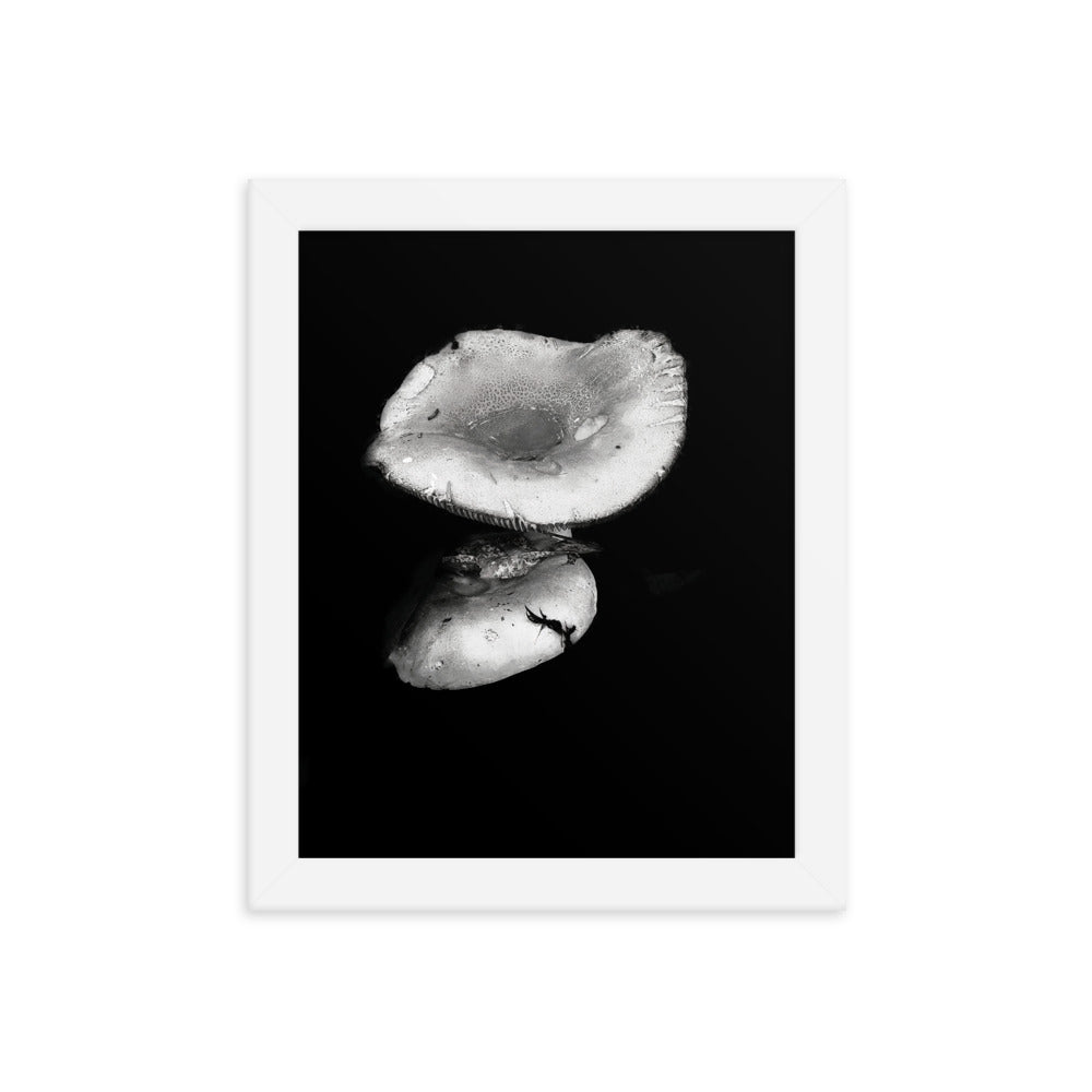 Framed Poster - Reflecting Mushroom