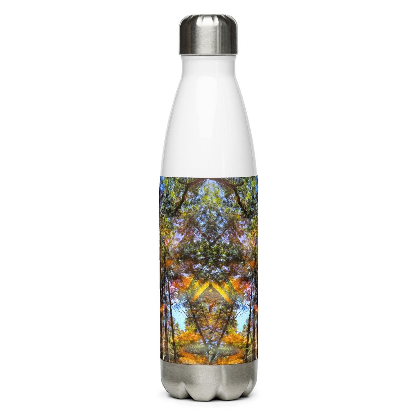 Stainless Steel Bottle - Reflection