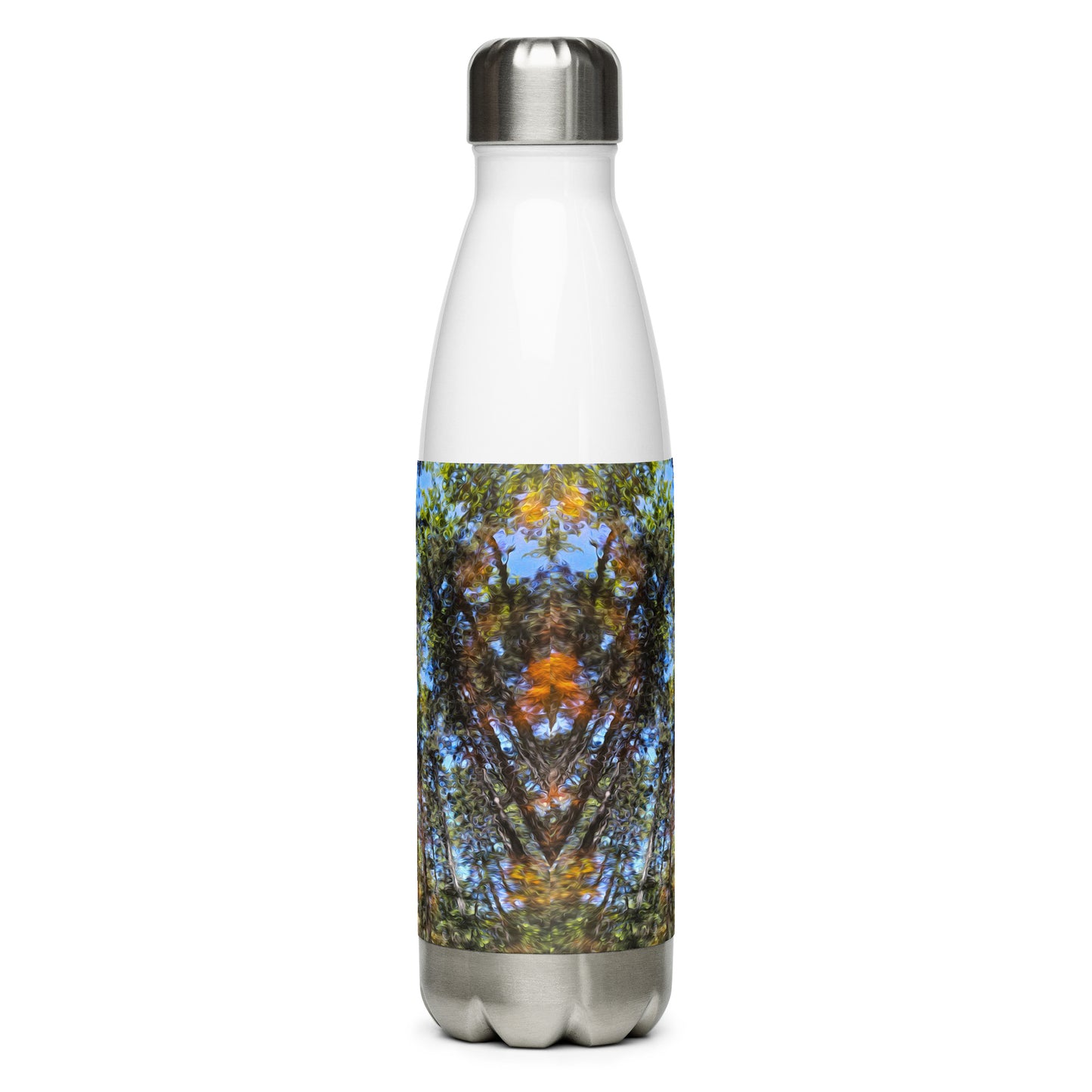 Stainless Steel Bottle - Reflection