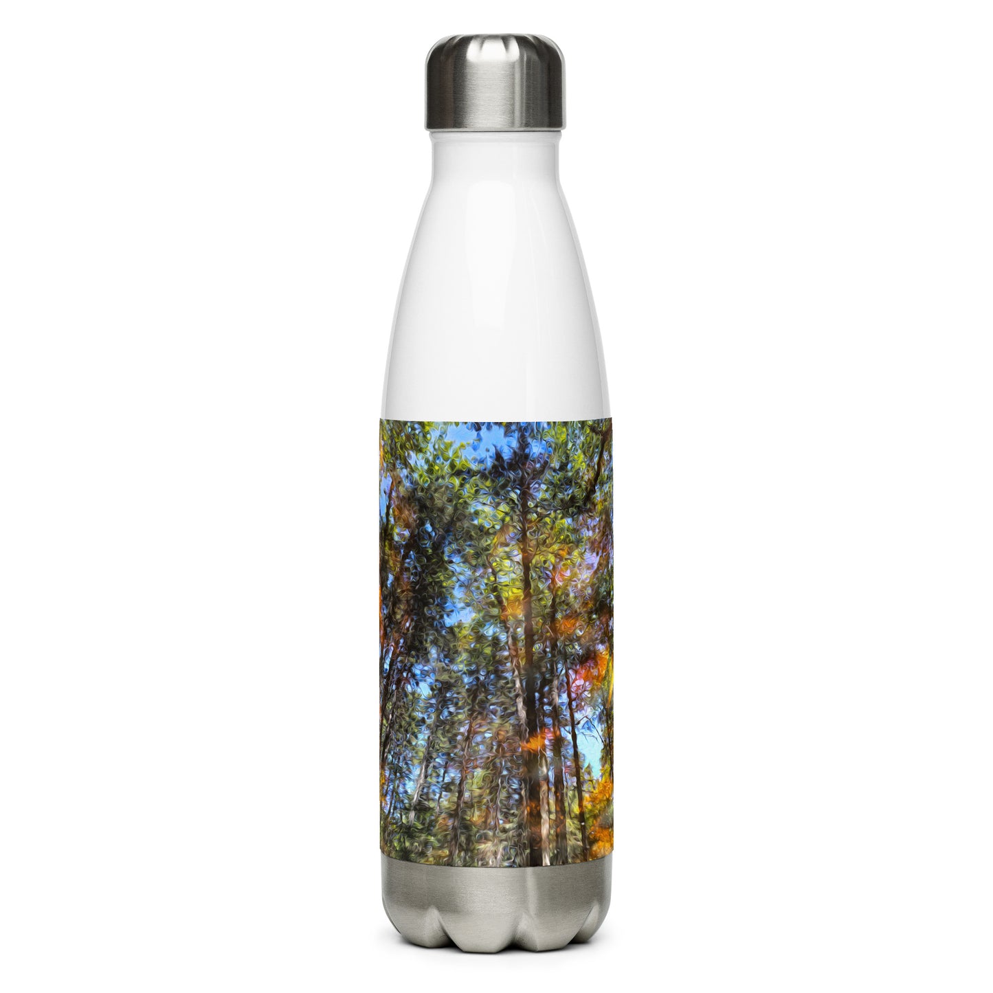 Stainless Steel Bottle - Reflection