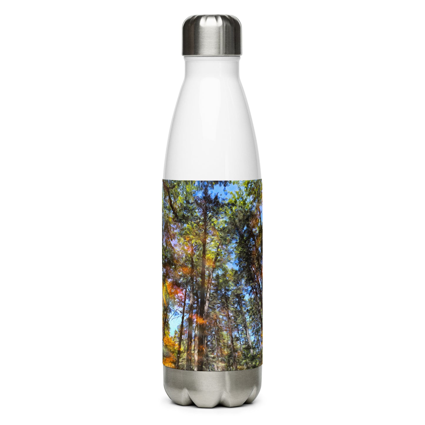 Stainless Steel Bottle - Reflection