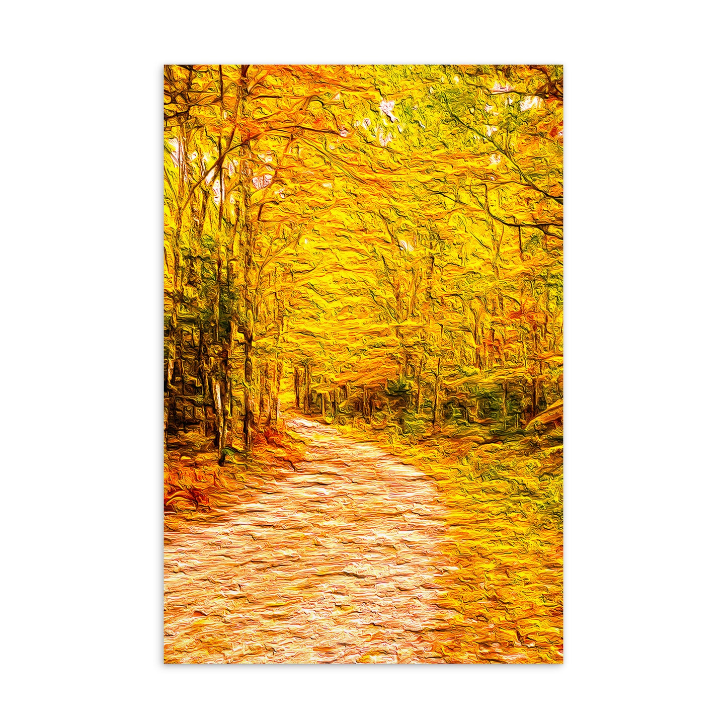 A Fall Country Lane Postcard